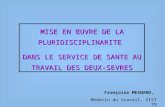 Françoise MESNARD, Médecin du travail, SIST 79 MISE EN ŒUVRE DE LA PLURIDISCIPLINARITE DANS LE SERVICE DE SANTE AU TRAVAIL DES DEUX-SEVRES.