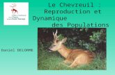 Le Chevreuil : Reproduction et Dynamique des Populations Daniel DELORME.