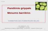 MC.NICOLLE 1 Pandémie grippale Mesures barrières FORMATION DES FORMATEURS RELAIS M.C. NICOLLE – PH P. VANHEMS – PU PH Département dHygiène, Epidémiologie.