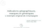 Indications géographiques, marques et génériques Lexemple original de Champagne Charles GOEMAERE, C.I.V.C. Parme, 28 juin 2005.