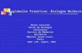 Polyglobulie Primitive: Biologie Moléculaire Bruno Cassinat Unité de Biologie Cellulaire Service de Médecine Nucléaire Hôpital Saint-Louis, Paris 6ème.