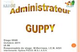 1. TRAVAILLER AVEC UN SITE GUPPY Guppy, quest-ce que cest? Guppy est un CMS, cest-à-dire un système de gestion de contenu. Il est libre et gratuit. Il.