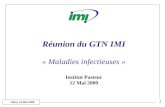 Paris, 12 Mai 2009 Réunion du GTN IMI « Maladies infectieuses » Institut Pasteur 12 Mai 2009 1.