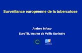 Surveillance européenne de la tuberculose Andrea Infuso EuroTB, Institut de Veille Sanitaire I NSTITUT DE V EILLE S ANITAIRE.