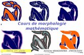 Cours de morphologie mathématique Antoine MANZANERA – ENSTA/U2IS ENSTA 2 ème année Cours de Morphologie Mathématique Antoine MANZANERA – ENSTA/U2IS 1.