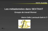 Les métadonnées dans SEXTANT Marie-Odile Lamirault-Gall & C ie ValorIG - 13 avril 2011 Groupe de travail Ifremer.