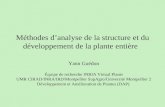 Méthodes danalyse de la structure et du développement de la plante entière Yann Guédon Équipe de recherche INRIA Virtual Plants UMR CIRAD/INRA/IRD/Montpellier.