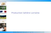 Direction Régionale de lAlimentation de lAgriculture et de la Forêt de Lorraine Production laitière Lorraine.