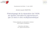 Phénotypage de la réparation de lADN de lignées Xeroderma pigmentosum, par un test in vitro multiparamétrique Anne-Laure RAFFIN Soutenance de thèse : 5.