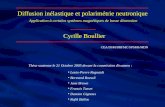 Diffusion inélastique et polarimétrie neutronique Cyrille Boullier Application à certains systèmes magnétiques de basse dimension CEA/DSM/DRFMC/SPSMS/MDN.
