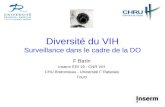 Diversité du VIH Surveillance dans le cadre de la DO F Barin Inserm ERI 19 - CNR VIH CHU Bretonneau - Université F Rabelais Tours.