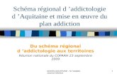 DRASS AQUITAINE - Dr Valadié- Jeannel Martine 1 Schéma régional d addictologie d Aquitaine et mise en œuvre du plan addiction Du schéma régional d addictologie.