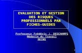 1 EVALUATION ET GESTION DES RISQUES PROFESSIONNELS PAR FICHES-GUIDES Professeur Frédéric J. DESCHAMPS Médecin du Travail REIMS.