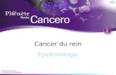 1 Cancer du rein Epidémiologie Pr Michaël Peyromaure Dr Nicolas Barry Delongchamps.
