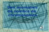 Des anomalies du nombre de chromosomes. La méiose peut présenter des anomalies conduisant à des aberrations chromosomiques.