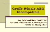Greffe Rénale ABO Incompatible Dr Salaheddine BOUHYA Aphérèse Thérapeutique & Hémovigilance CHRU de Montpellier.