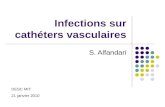 Infections sur cathéters vasculaires S. Alfandari DESC MIT 21 janvier 2010.