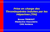 Prise en charge des Thrombopénies Induites par les Héparines (TIH) Bruno TRIBOUT Médecine Vasculaire CHU Amiens.