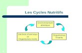 1 Les Cycles Nutritifs Déchets danimaux et Organismes morts Organismes Vivants Environnement abiotique.