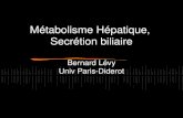 Métabolisme Hépatique, Secrétion biliaire Bernard Lévy Univ Paris-Diderot.