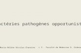 Bactéries pathogènes opportunistes L 3. Faculté de Médecine D. Diderot Marie-Hélène Nicolas-Chanoine.