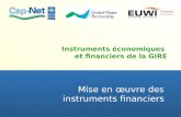 Instruments économiques et financiers de la GIRE Mise en œuvre des instruments financiers.