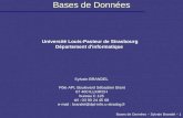 Bases de Données – Sylvain Brandel – 1 Bases de Données Université Louis-Pasteur de Strasbourg Département d'informatique Sylvain BRANDEL Pôle API, Boulevard.