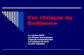 Cas clinique de Guillaume Le schéma SORC Les flèches descendantes Lagenda comportemental Les colonnes de beck La mini relaxation.