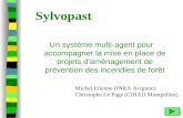 M.etienne Sylvopast Un système multi-agent pour accompagner la mise en place de projets daménagement de prévention des incendies de forêt Michel Etienne.