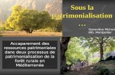 Sous la patrimonialisation … Accaparement des ressources patrimoniales dans deux processus de patrimonialisation de la forêt rurale en Méditerranée Geneviève.