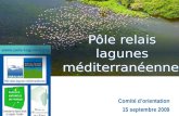 Comité dorientation 15 septembre 2009 Pôle relais lagunes méditerranéennes .