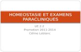 UE 2.2 Promotion 2011-2014 Céline Leblanc HOMEOSTASIE ET EXAMENS PARACLINIQUES.
