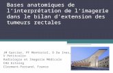 Bases anatomiques de linterprétation de limagerie dans le bilan dextension des tumeurs rectales JM Garcier, PF Montoriol, D Da Ines, V Petitcolin Radiologie.
