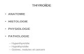 THYROÏDE ANATOMIE HISTOLOGIE PHYSIOLOGIE PATHOLOGIE –Hyperthyroïdie –Hypothyroïdie –Goitres, nodules et cancers.