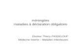 Méningites maladies à déclaration obligatoire Docteur Thierry PASDELOUP Médecine Interne – Maladies Infectieuses.