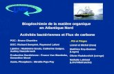 Biogéochimie de la matière organique en Atlantique Nord Activités bactériennes et Flux de carbone POC : Bruno Charrière DOC: Richard Sempéré, Raymond Lafont.