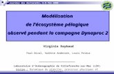 Modélisation de lécosystème pélagique observé pendant la campagne Dynaproc 2 Journées des doctorants, 6-8 fév 2008 Virginie Raybaud Paul Nival, Valérie.