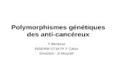 T Berdous INSERM U716 Pr F Calvo Direction : S Mourah Polymorphismes génétiques des anti-cancéreux.