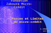 1 Fondation Zakoura Micro-Crédit N. AYOUCH juin 2005 Forces et Limites du micro-crédit.