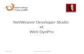 NetWeaver Developer Studio et Web DynPro 27/01/2009Tamizé Gilles IR3 - 27/01/2009.