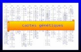Cartographie génétique cartes génétiques. 1- Quest-ce quune carte de liaison génétique? 2- De quoi a ton besoin pour construire une carte génétique? 3-