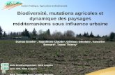 Action Publique, Agriculture & Biodiversité Biodiversité, mutations agricoles et dynamique des paysages méditerranéens sous influence urbaine Dumas Estelle.