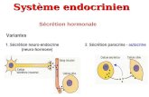 Système endocrinien Sécrétion hormonale. Mode daction des hormones.