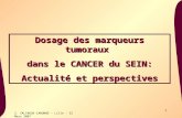 1 S. SALINGUE-CANONNE - Lille - 22 Mars 2007 Dosage des marqueurs tumoraux dans le CANCER du SEIN: Actualité et perspectives.