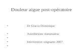 Douleur aigue post-opératoire Dr Gracia Dominique Anesthésiste réanimateur Intervention soignants 2007.