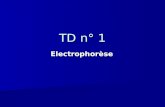 TD n° 1 Electrophorèse. Lélectrophorèse est – avec la chromatographie – la principale des techniques utilisées en biologie pour la séparation et la caractérisation.