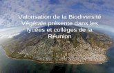 Valorisation de la Biodiversité Végétale présente dans les lycées et collèges de la Réunion.