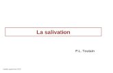 La salivation Update septembre 2010 P.L. Toutain.