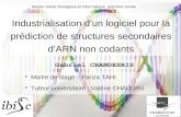 Industrialisation d'un logiciel pour la prédiction de structures secondaires d'ARN non codants Maitre de stage : Fariza TAHI Tuteur universitaire : Valérie.