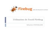 Utilisation de loutil Firebug Sébastien PONTAILLIER.